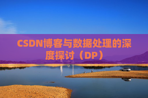 CSDN博客与数据处理的深度探讨（DP）