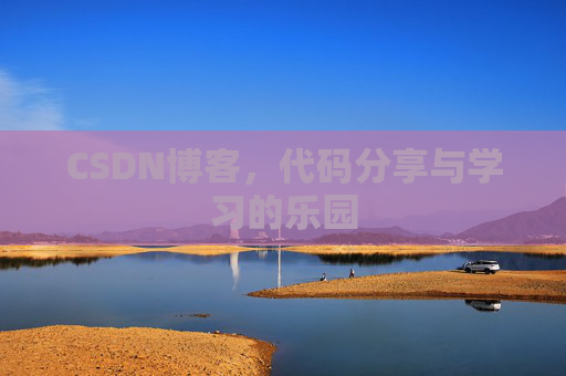 CSDN博客，代码分享与学习的乐园